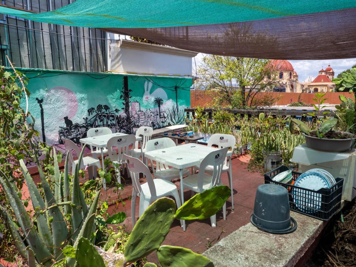 Oaxaca Hostal Luz De Luna Nuyoo מראה חיצוני תמונה