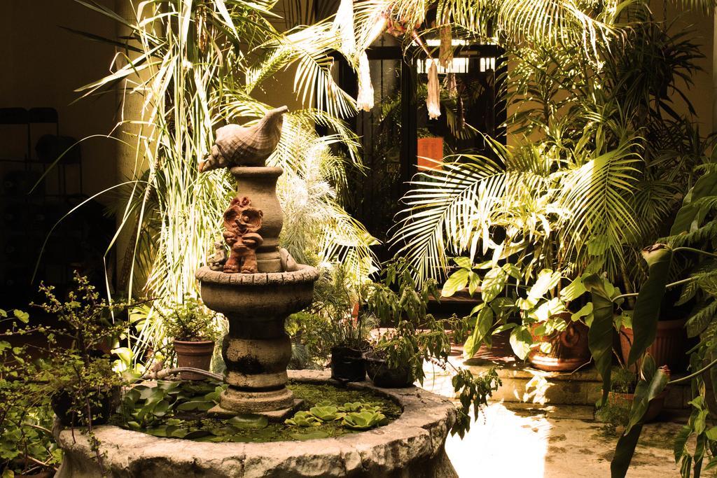 Oaxaca Hostal Luz De Luna Nuyoo מראה חיצוני תמונה