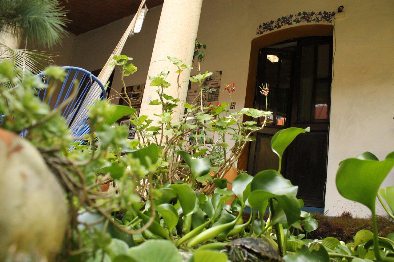 Oaxaca Hostal Luz De Luna Nuyoo מראה חיצוני תמונה