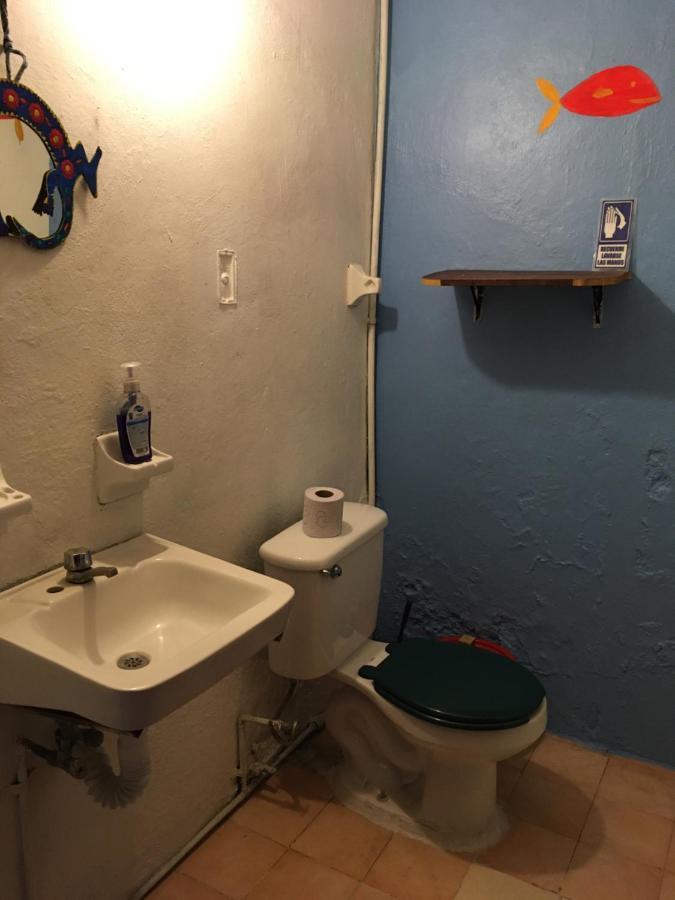 Oaxaca Hostal Luz De Luna Nuyoo מראה חיצוני תמונה